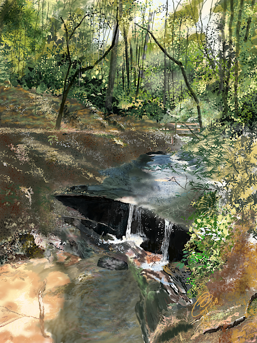 Mountain Stream by Joel Deutsch Mountain Stream by Joel Deutsch
